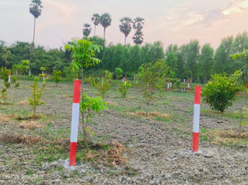  Agricultural Land for Sale in Uthramerur, Chennai