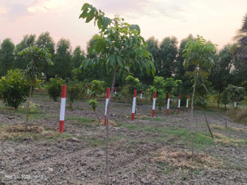Agricultural Land for Sale in Uthandi, Chennai