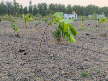  Residential Plot for Sale in Chengalpet, Chennai