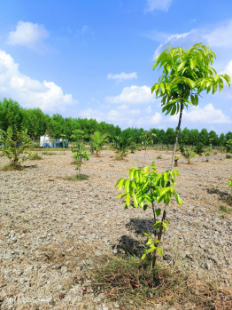  Agricultural Land for Sale in Melmaruvathur, Chennai