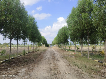 Agricultural Land for Sale in Melmaruvathur, Chennai