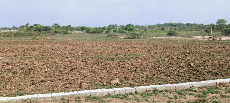 Thiruthani, Thiruvallur photo 5