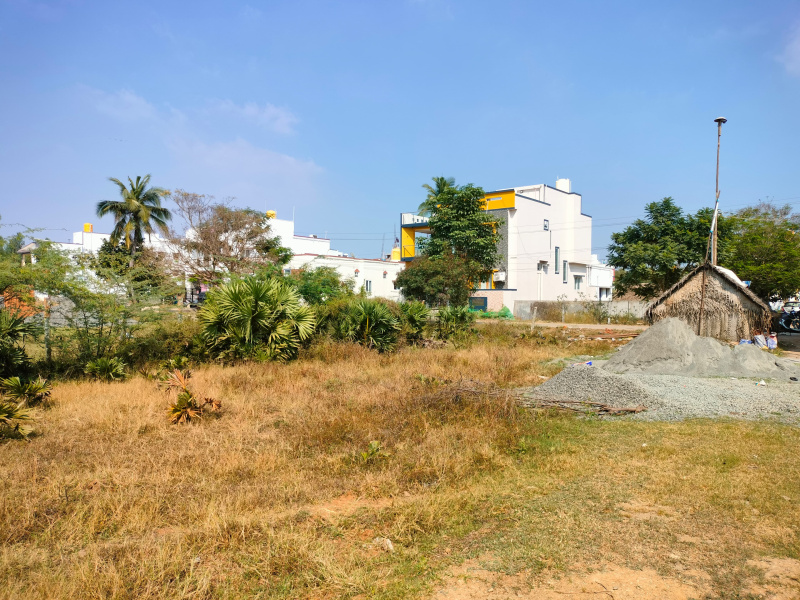 Padapai, Chennai photo 2