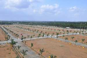  Commercial Land for Sale in B Thandrapadu, Kurnool
