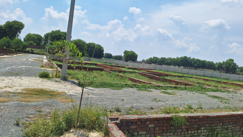  Residential Plot 1100 Sq.ft. for Sale in Baragaon, Varanasi