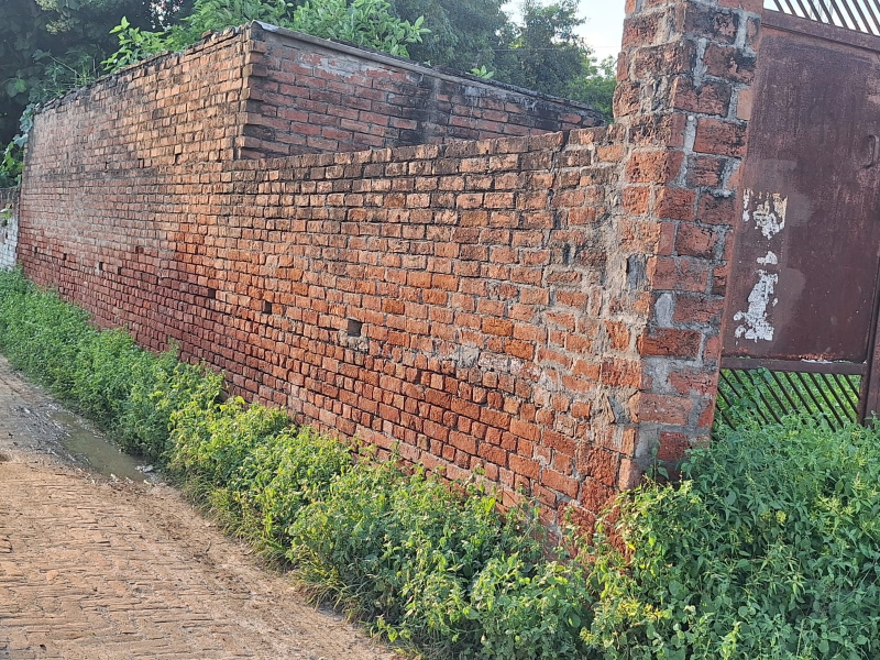  1350 Sq.ft. Residential Plot for Sale in Chitaipur, Varanasi