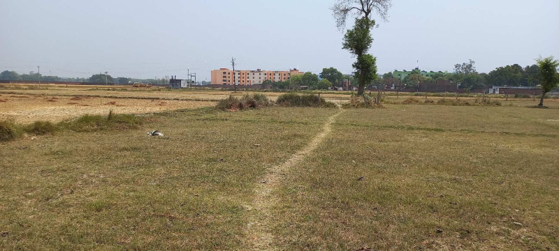  2000 Sq.ft. Residential Plot for Sale in Pindra, Varanasi