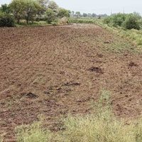  Agricultural Land for Sale in Bhedaghat, Jabalpur