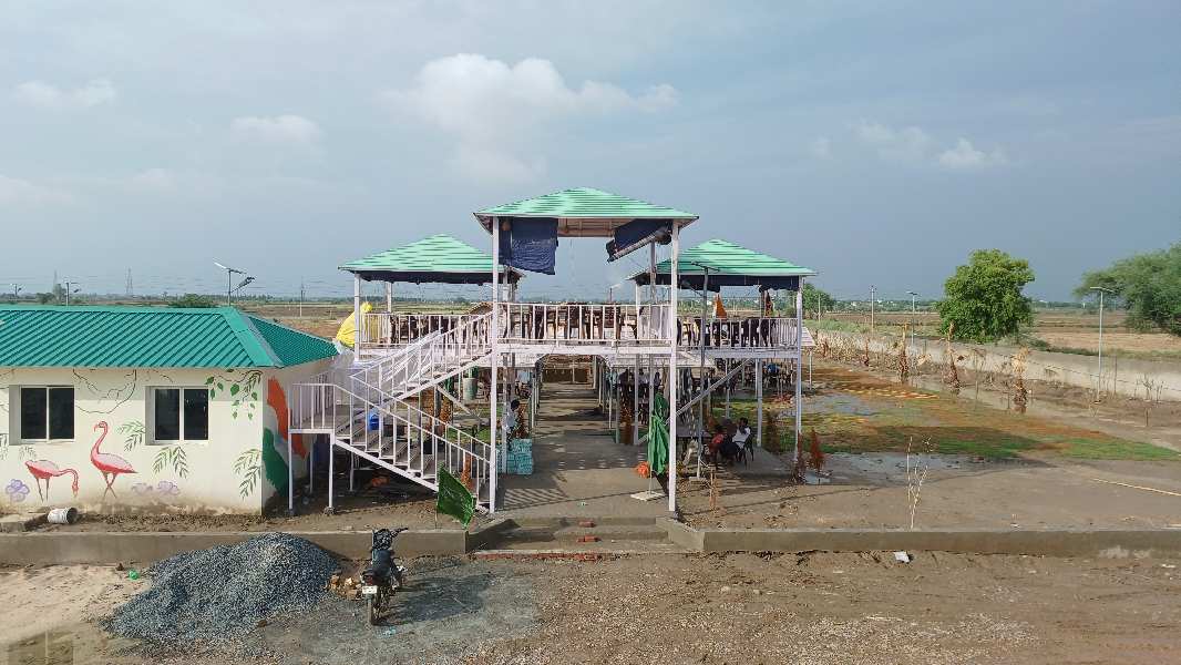  Residential Plot 205 Sq. Yards for Sale in Tappal, Aligarh