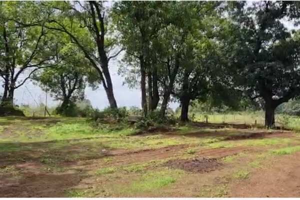 Agricultural Land 6830 Sq.ft. for Sale in Neral, Raigad