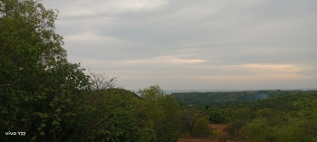  Commercial Land for Sale in Vengurla, Sindhudurg