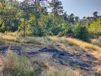  Agricultural Land for Sale in Kudal, Sindhudurg