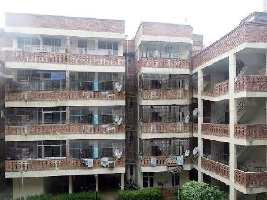 1 RK Flat for Rent in Sector 56 Gurgaon