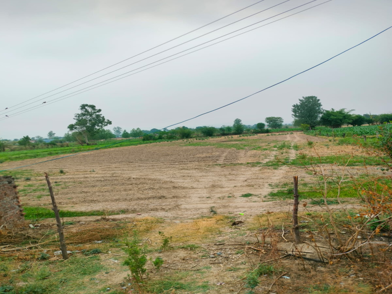  Residential Plot 30 Marla for Sale in Haroli, Una