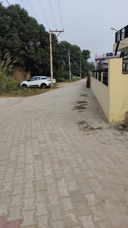  Residential Plot 13 Marla for Sale in Rakkar Colony, Una