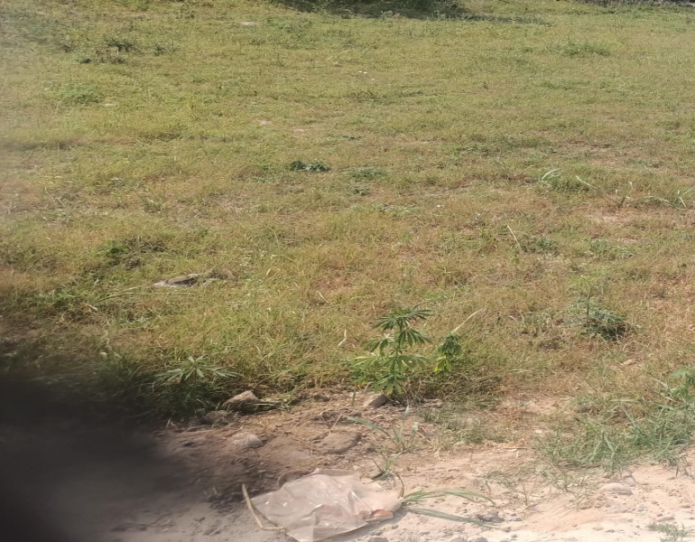  Residential Plot 8 Marla for Sale in Rakkar Colony, Una