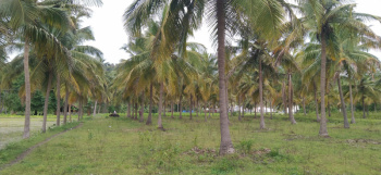  Agricultural Land for Sale in Harur, Dharmapuri