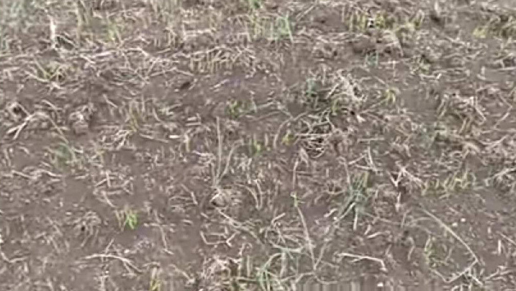  Agricultural Land 6 Acre for Sale in Nakhatrana, Kutch