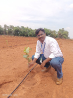  Agricultural Land for Sale in Podalakur, Nellore