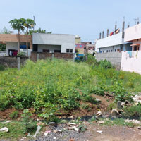  Residential Plot for Sale in Balaji Nagar, Old Guntur, 