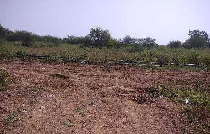 871 Sq.ft. Residential Plot for Sale in Katol Road, Nagpur