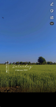  Agricultural Land for Sale in Ramosna, Mehsana