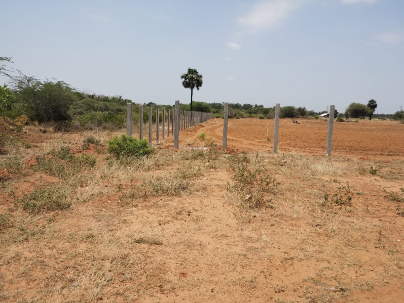  Residential Plot 1200 Sq.ft. for Sale in Keeranur, Tiruchirappalli