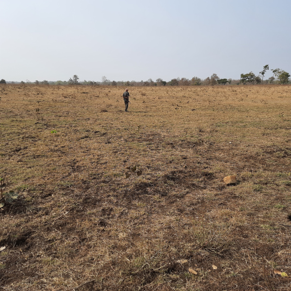 Farm Land for Sale in Narkhed, Nagpur (REI1137378)