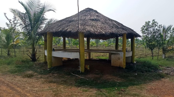  Agricultural Land for Sale in Ranastalam, Srikakulam