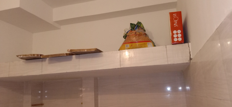 1 BHK House 800 Sq.ft. for Rent in Ghatlodiya, Ahmedabad