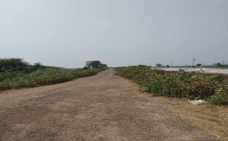 14 Acre Agricultural/Farm Land for Sale in Dhandhuka, Ahmedabad