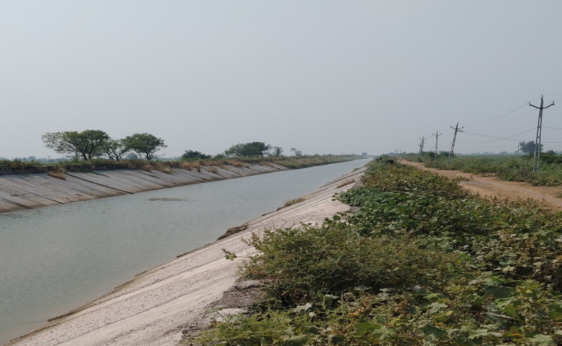  14 Acre Agricultural/Farm Land for Sale in Dhandhuka, Ahmedabad