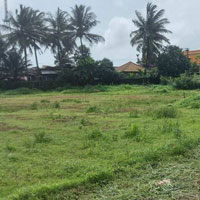  Agricultural Land for Rent in Telecom Layout, Bangalore