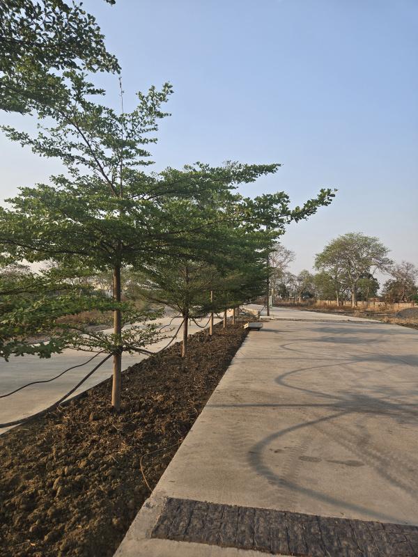 Masturi, Bilaspur photo 4