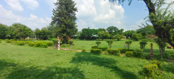  Residential Plot for Sale in Sector 60 Gurgaon