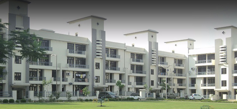 2 BHK Apartment 1085 Sq.ft. for Rent in New Moradabad