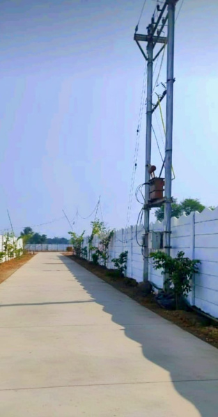 2 BHK 1000 Sq.ft. House for Sale in Barela, Jabalpur