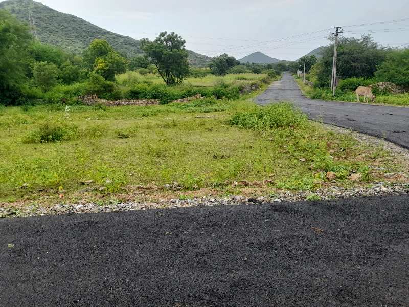 Agricultural Land 2400 Sq.ft. for Sale in Badi, Udaipur (REI1078514)