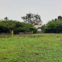  Residential Plot for Sale in Walajabad, Kanchipuram
