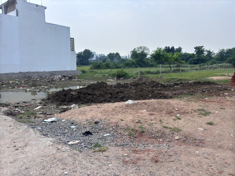  Residential Plot 1000 Sq.ft. for Sale in Mangla, Bilaspur