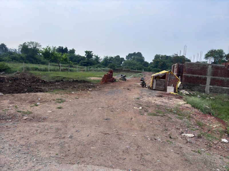  Residential Plot 1000 Sq.ft. for Sale in Mangla, Bilaspur