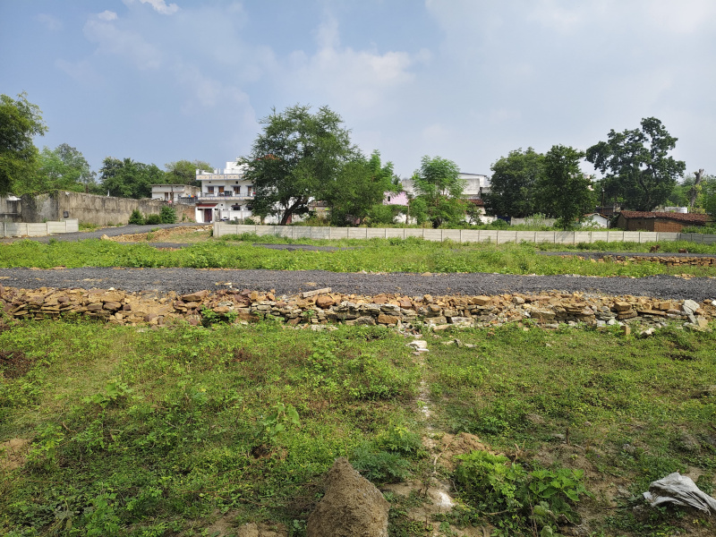  Residential Plot 1351 Sq.ft. for Sale in Koni, Bilaspur