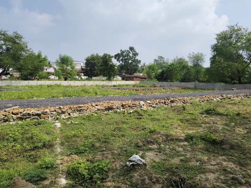  Residential Plot 1351 Sq.ft. for Sale in Koni, Bilaspur