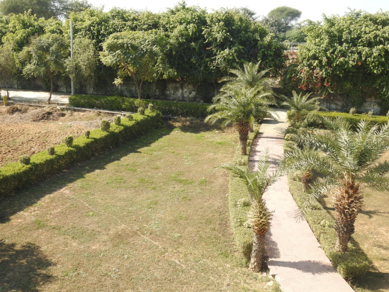  200 Sq. Yards Residential Plot for Sale in Tappal, Aligarh
