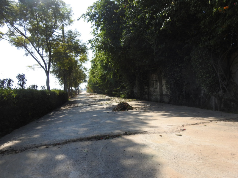  200 Sq. Yards Residential Plot for Sale in Tappal, Aligarh