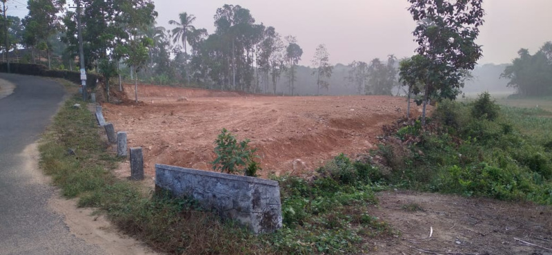  Residential Plot 3 Cent for Sale in Anikad, Kottayam