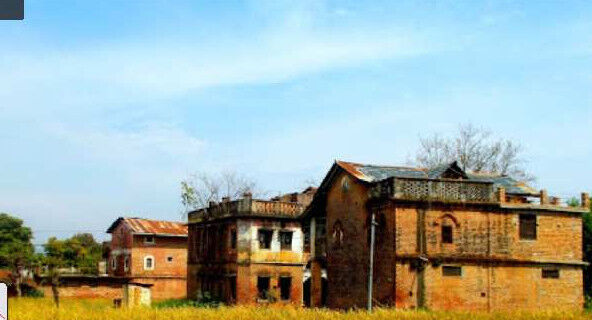  Agricultural Land 7 Acre for Sale in Pragpur, Kangra
