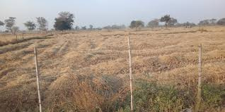  Agricultural Land 12500 Sq.ft. for Sale in Patan, Jabalpur