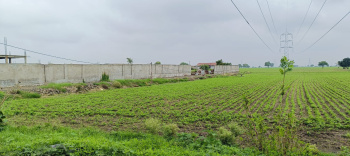  Agricultural Land for Sale in Ujjain Road, Indore