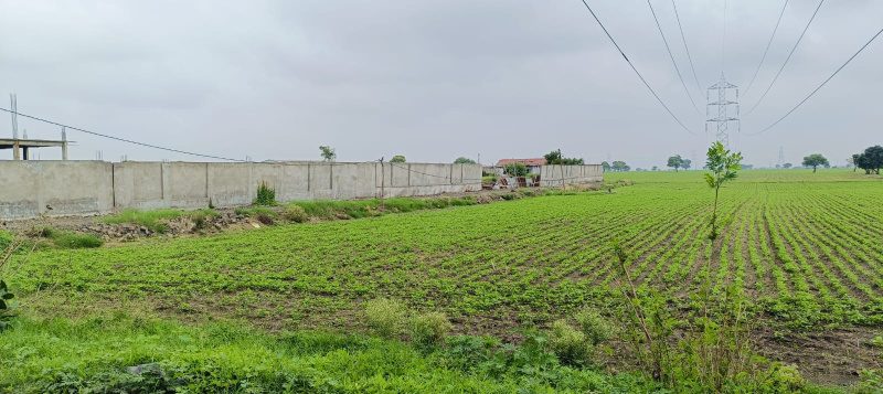  Agricultural Land 5 Bigha for Sale in Ujjain Road, Ujjain Road, Indore